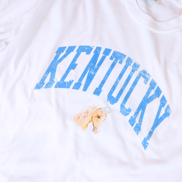 Celebrate your love for horses with our stylish Kentucky t-shirt. Available in light pink and white, this shirt features a coquette preppy horse with a bow in a distressed design. A perfect gift for horse lovers, this cute western shirt is also great for a Kentucky derby outfit. Size up for an oversized fit.