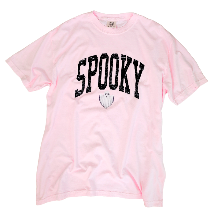 Introducing our Spooky Varsity Lettering Ghost T-Shirt, perfect for Halloween parties and spooky season. This distressed, design features a cute ghost and is available in comfort color t-shirts. Size up for an oversized, yet stylish fit. Make a statement with our exclusive Spooky Halloween Shirt.